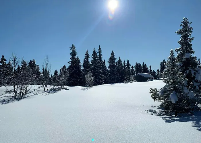 Family With Views In *