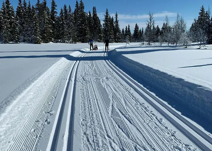 Family With Views In Sør-Fron