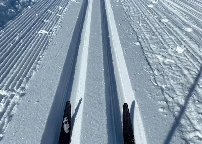 Family With Views In